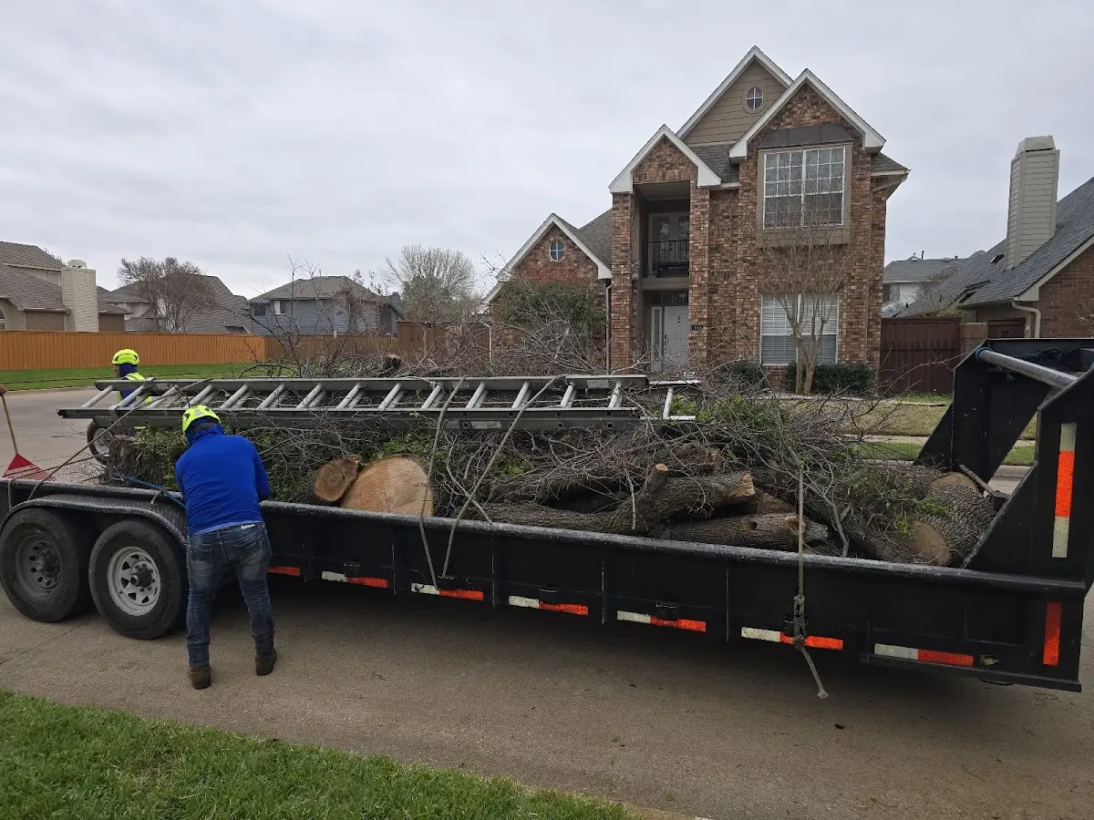 Expert Lot Clearing with proper safety equipment in Purdum